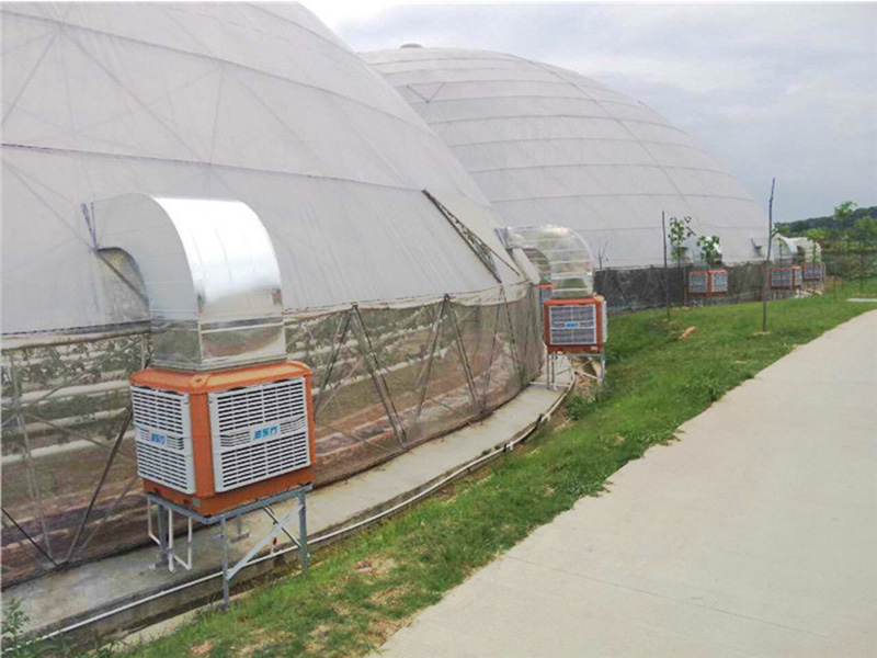 溫室大棚通風降溫設備|潤東方環(huán)?？照{(diào)