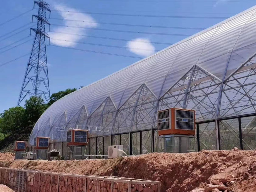 車間如何降溫？什么通風(fēng)降溫設(shè)備節(jié)能省電