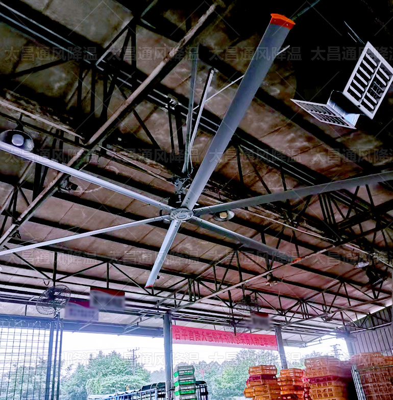 工業(yè)大風(fēng)扇有幾種，看完這些你就知道了