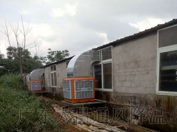 飼養(yǎng)廠|養(yǎng)豬場環(huán)?？照{(diào)通風(fēng)降溫案例