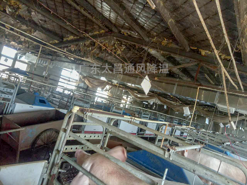 養(yǎng)殖場(chǎng)通風(fēng)降溫常用設(shè)備3